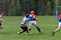 D50_5517