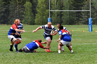 D50_5524