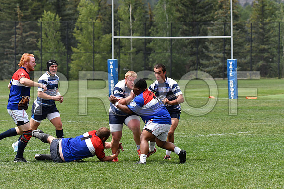 D50_5526